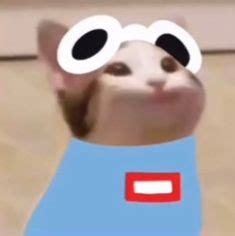 Popcat.click server registers only 800 pops every 30 seconds per ip address (that's why this bot is slow and runnig. 𝙳𝚛𝚎́ 𝙲𝚊𝚝 in 2021 | Pop cat, My dream team, Dream team
