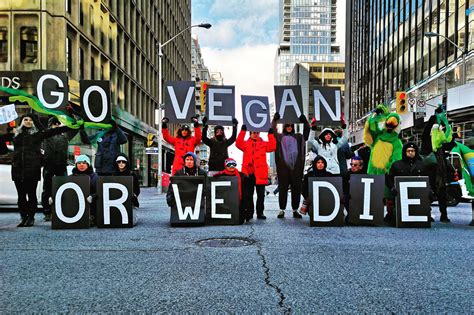 Vegan Protesters Block Off Major Toronto Intersection For Amazon Rainforest