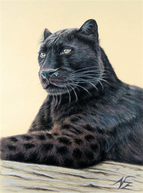 Maybe you would like to learn more about one of these? Panther Jaguar: Melanismus, Katze, Schwarz, Portrait von ...