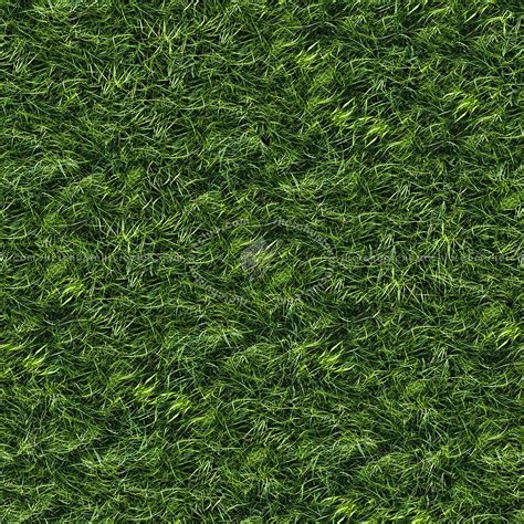 Green Grass Texture Seamless