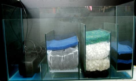 In the aquarium hobby sump filter is commonly considered as a marine or saltwater thing. aquarium filters | Aquários, Aquarismo, Aquário