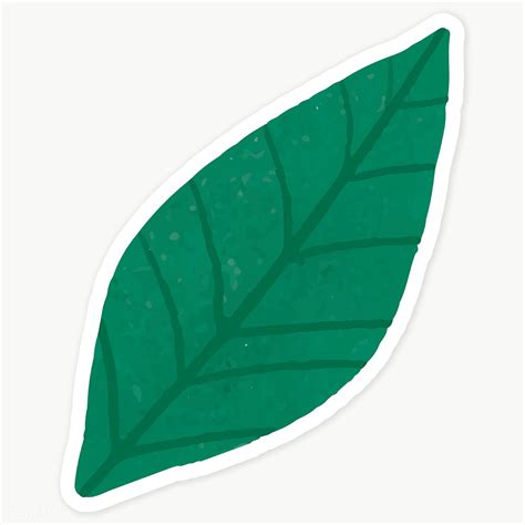 Green Leaves Sticker Transparent Png Premium Image By