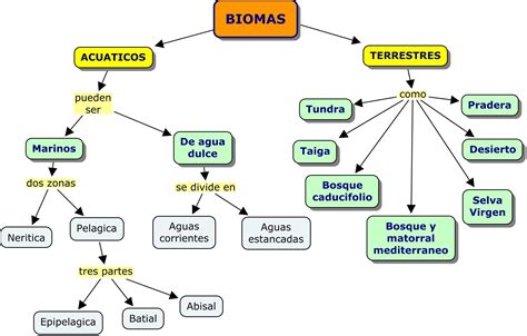Mapas Conceptuales Biomas Tipos De Ecosistemas Ecosistemas