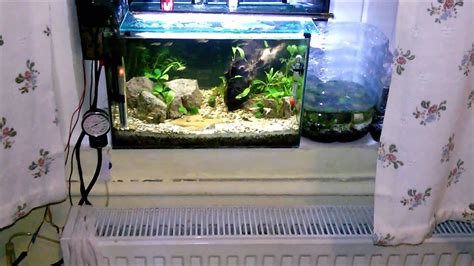 We did not find results for: DiY Aquarium LED Lights - YouTube