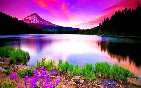 Download Nature Hd Wallpapers For Android Gallery