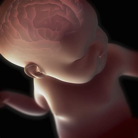 Estimulación prenatal Cómo y cuándo estimular a bebé