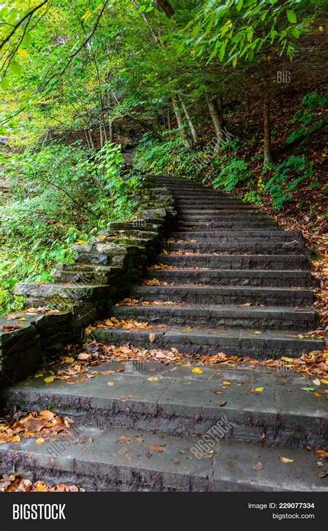 Stone Stair Forest Image And Photo Free Trial Bigstock