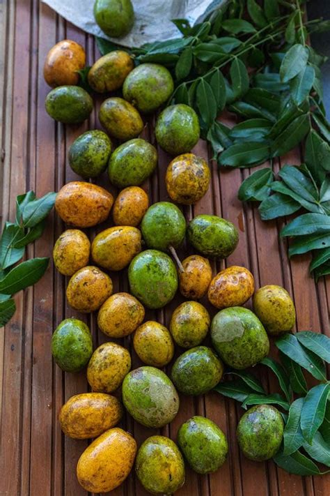 Exploring Jamaica Food June Plum Ambarella Fruit