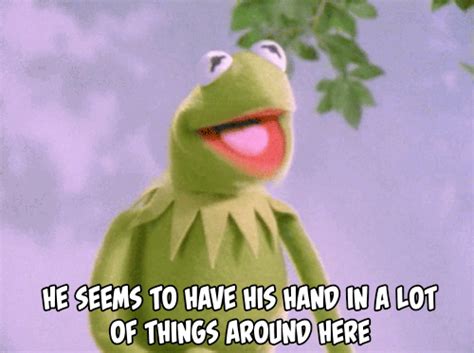 Kermit the frog is a muppet character created and originally performed by jim henson. muppets kermit gif | Tumblr