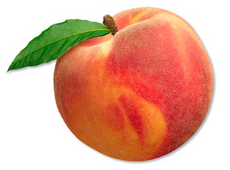 Png Peach Transparent Peachpng Images Pluspng