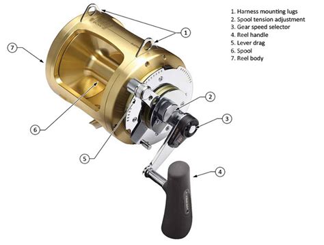 Shimano Reel Chart Fishing Gaeks