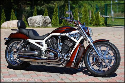 03 Harley Davidson Vrsca V Rod Fredyee Harley V Rod Harley