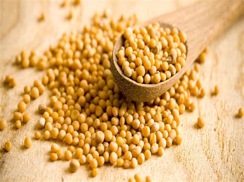 Mustard Seeds Health Benefits Uses Side Effects And More