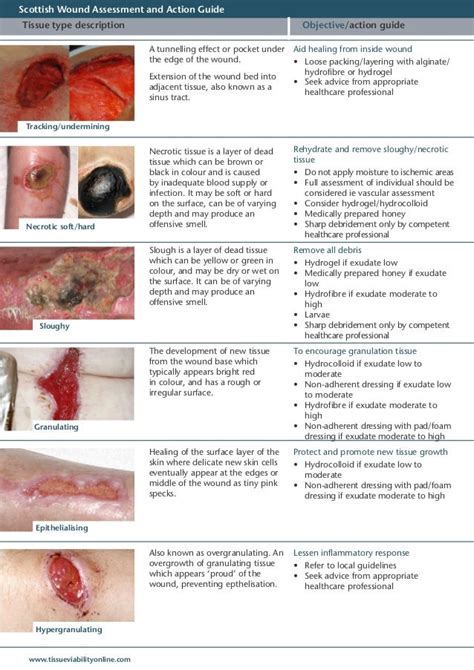 20100728 Wound Assessment Tool Guide Final 2 287