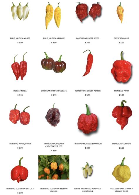 Grow Hot Peppers Seeds Easy To Grow Peppers Are A Beautiful And Tasty