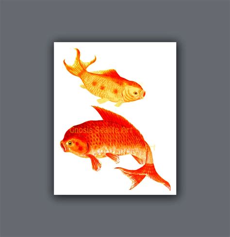 Koi pintura de peces dorados pared arte impresión 7 Símbolo Etsy España