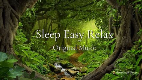 Healing Nature Deep Sleep Music Peaceful Calming Nature Music Forest Healing ★ 32 Deep