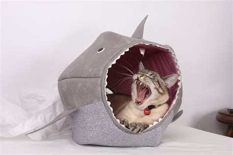 Feline Shark Beds Shark Cat Bed