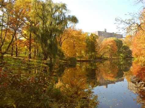 What Are Central Parks Most Colorful Fall Central Park Conservancy
