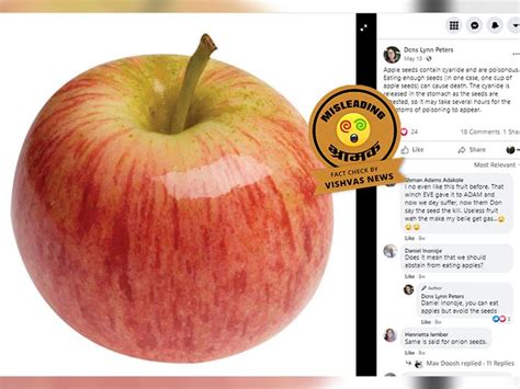 Fact Check Apple Seeds Do Contain Cyanide But Not Poisonous Enough To
