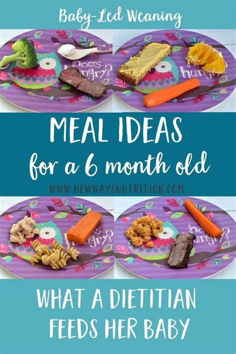Our introduction of solids to baby j started with dinner at 6 months. 6 Month Old Baby Food Ideas- Lunch! | Baby led weaning ...
