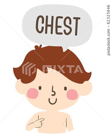 For example skin is also an organ and it wraps around our body. Kid Boy Naming Body Parts Chest Illustration - Stock ...