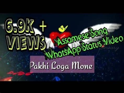 Previous article100+ whatsapp status video download free status video. Whatsapp Status Video || Pakhi Loga Mone | Assamese Song ...