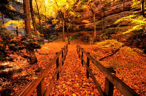 Autumn At Starved Rock State Park Illinois Starved Rock State Park