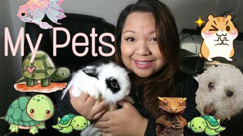Meet Our Pets 2018 Youtube