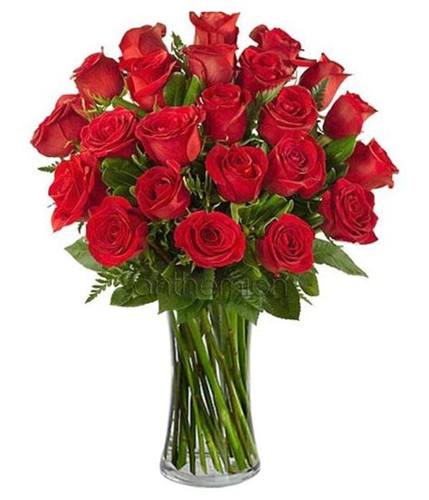 Bouquet Of 24 Red Roses Anniversary Roses Love Ts