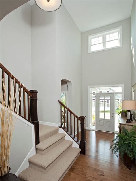 Best Repose Gray Sherwin Williams Design Ideas And Remodel Pictures Houzz