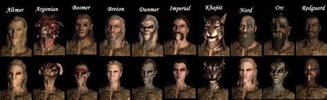Skyrim Character Types