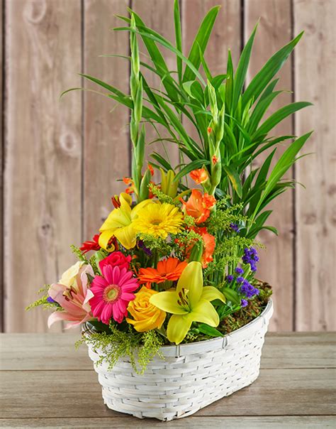 A goode florist is a local family owned and operated flower shop that has been serving the treasure coast since 1979. Plant with Flower Arrangement in a Basket For Mother's Day ...
