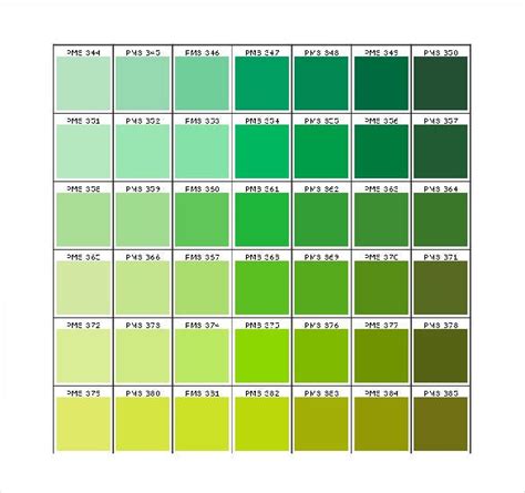 Pantone Color Chart Pms Color Chart Pantone Green
