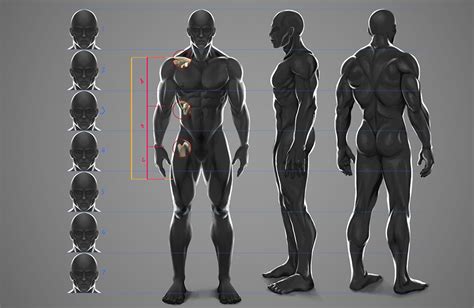 Update More Than Male Anime Body Reference Tdesign Edu Vn