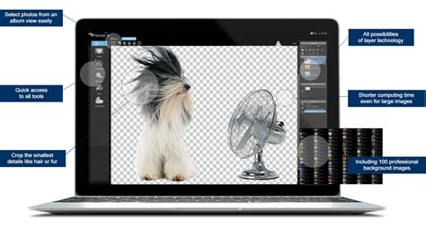 Cutout 8 Pro The Best Photo Cropping Software Grab Now