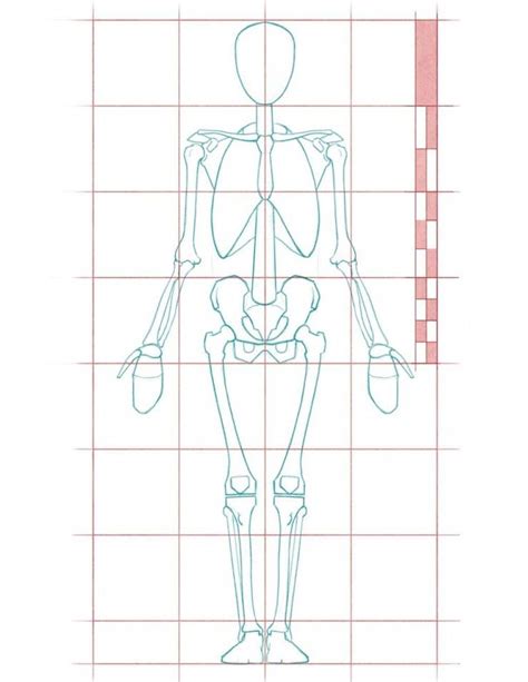 Human Proportions For Figure Drawing Анатомический рисунок Наброски