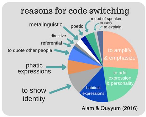 What Is Code Switching Annamend