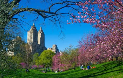 48 Central Park Spring Wallpaper On Wallpapersafari