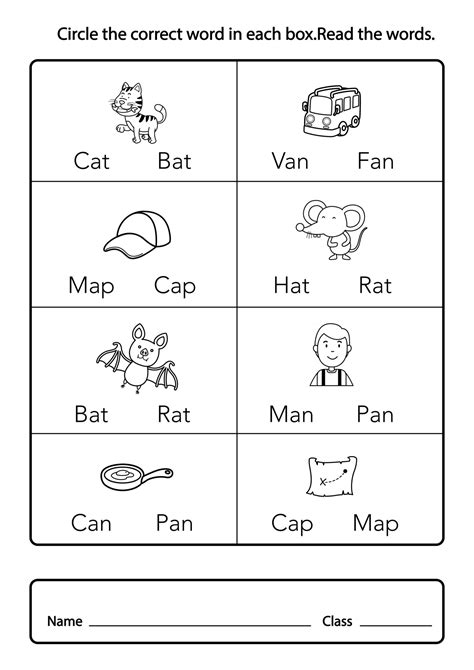 Circle The Correct Word In Each Box Read The Lor The Picture