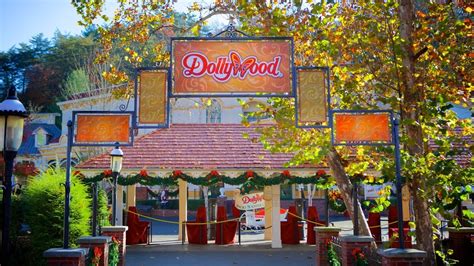 Dollywood Is Set To Add Some Major Features In 2019 Misterstocks