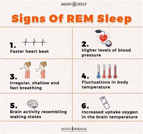 Stages Of Rem Sleep