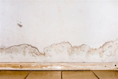 Cómo quitar manchas de humedad en la pared Eliminar Humedades
