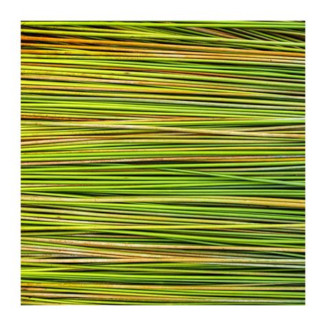 Grass Straws Organic Straw