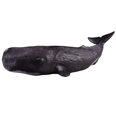 Buy Recur Toys 12inch Sperm Whale Figure Pool Toys Sea Life Soft Hand