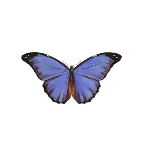 Blue Butterfly Png Svg Clip Art For Web Download Clip Art Png Icon Arts