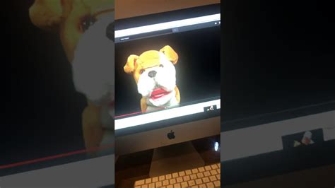 Baby Mozart Dog Youtube