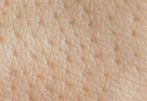New Insights Into Skin Cells Could Explain Why Our Skin Doesnt Leak Imperial News Imperial