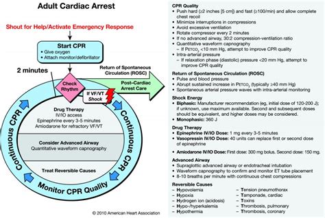 Adult Cardiac Arrest Circular Algorithm First10em