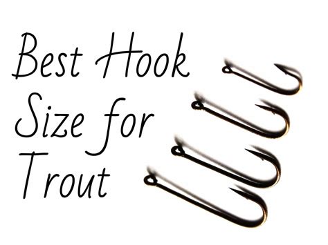 The Best Hooks For Trout Fishing Fishing Fanatiks